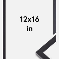 Frame Selection Black 12x16 inches