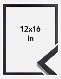 Black Picture Frame 12x16 inches