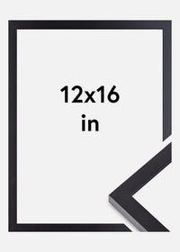Black Picture Frame 12x16 inches