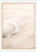 Shell Poster II