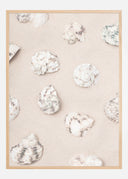 Shells Poster II