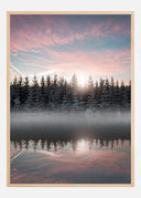 Small Lake In The Forest Poster