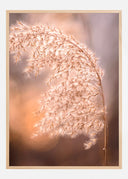 Sunny Field Poster