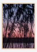 Sunrise Poster