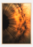 Sunset Poster