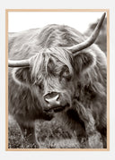 The Bull Poster