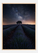 The Lonely Tree Poster II