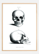 18th century Skull Poster