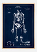 Patent drawing - Anatomical Skeleton I - Blue Poster