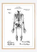 Patent drawing - Anatomical Skeleton I Poster